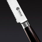 Damascus Steel Knife Set, 6-pc (Espresso)